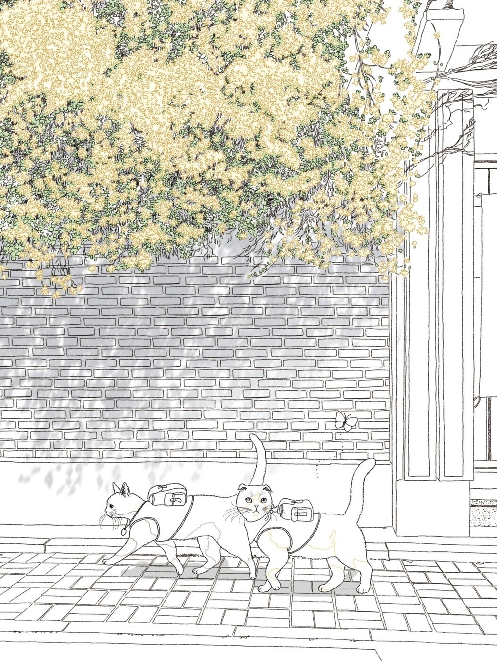 Two cats and a walk, Four Seasons. Coloring book (Korea)