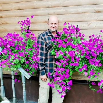 Петуния Фиалковая Дикая - Wild Violet Petunia
