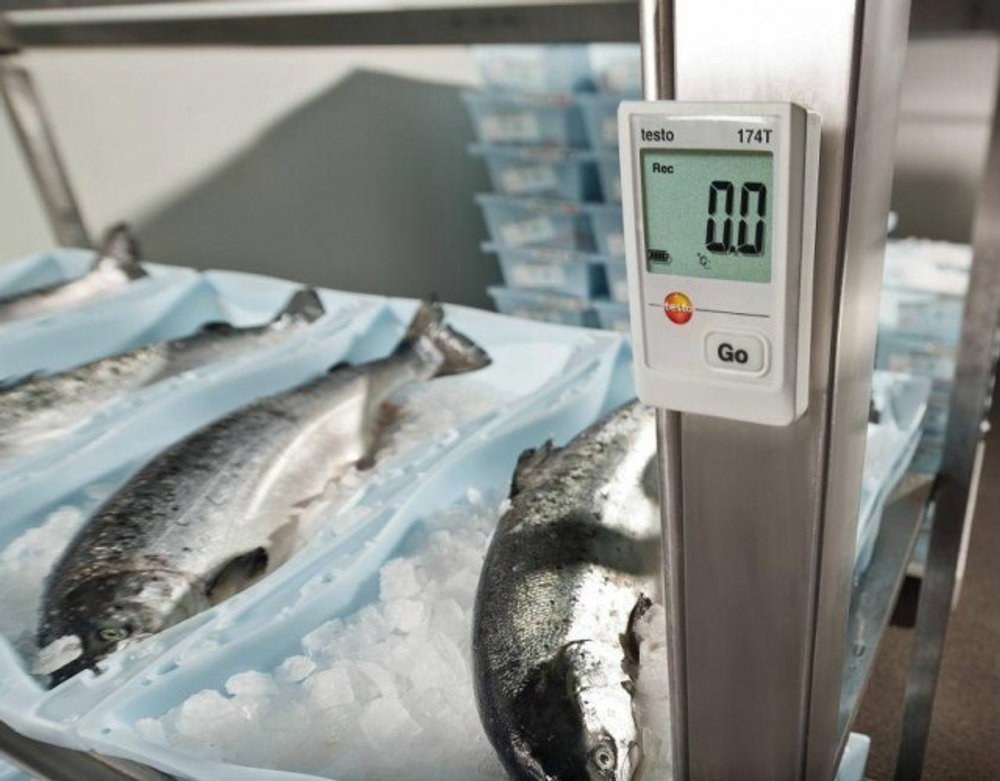 Мини логгер данных температуры Testo 174Т с USB-интерфейсом 0572 0561