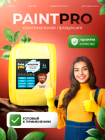 Антисептик универсальный бесцветный PaintPRO 5л