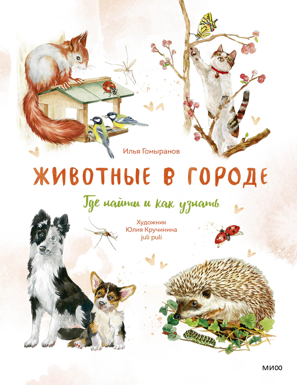 Животные в городе. Где найти и как узнать