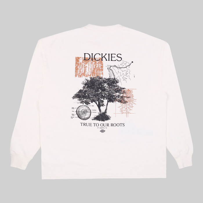 Лонгслив мужской Dickies Kenbridge Tee артикул:DK0A4YVRC581 - купить в магазине Дайс
