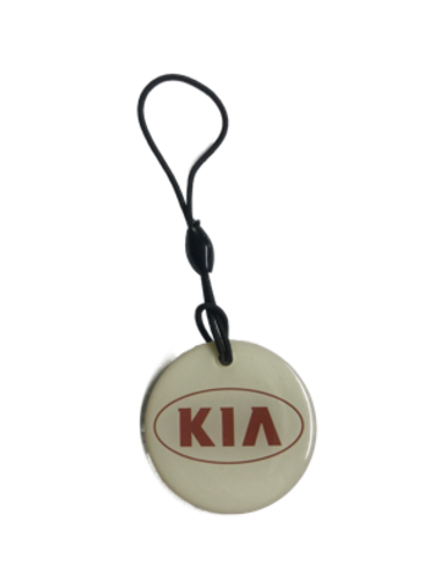 Заготовка домофонная EPOXY чип Н5.5 KIA (на резинке)