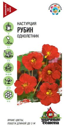 Настурция