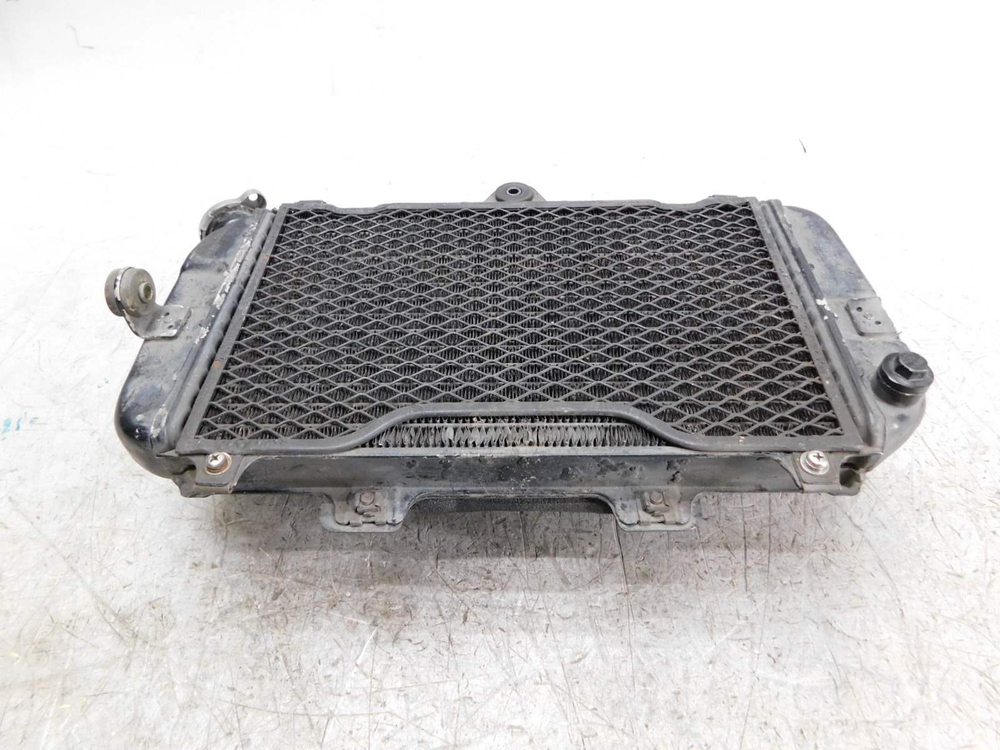 Радиатор Yamaha TDM850
