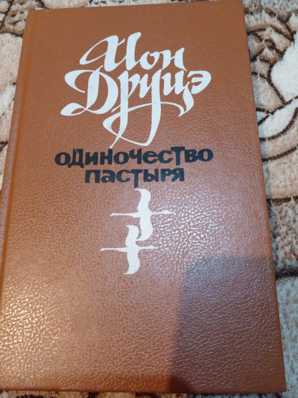 Одиночество пастыря (дефект)