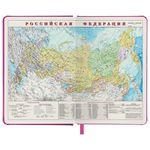 Ежедневник недатированный А5 138х213 мм BRAUBERG "Iguana", под кожу, 160 л., розовый, 114456