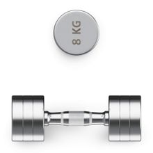 Гантель UNIX Fit PRO круглая хромированная 8 кг, 2 шт.