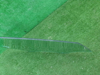 20230404_141329.jpg