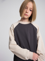 Свитшот прямой Mjölk Steel Grey/Beige, с рукавом реглан