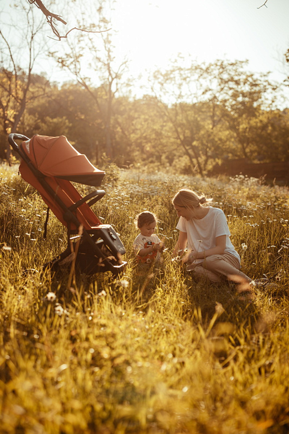 Детская прогулочная коляска Anex AIR-X Ax-01 terracotta