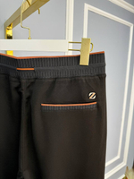 Спортивные штаны Zegna