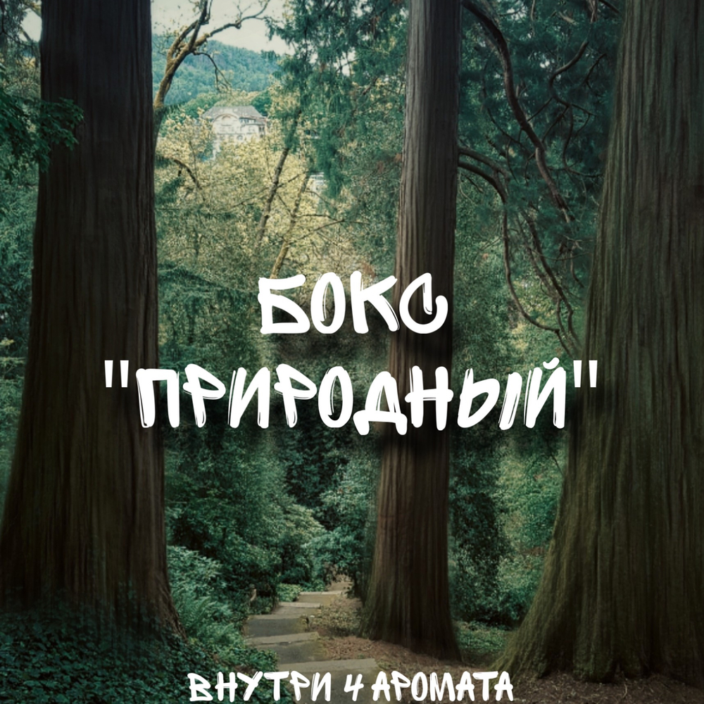 Бокс "природный"