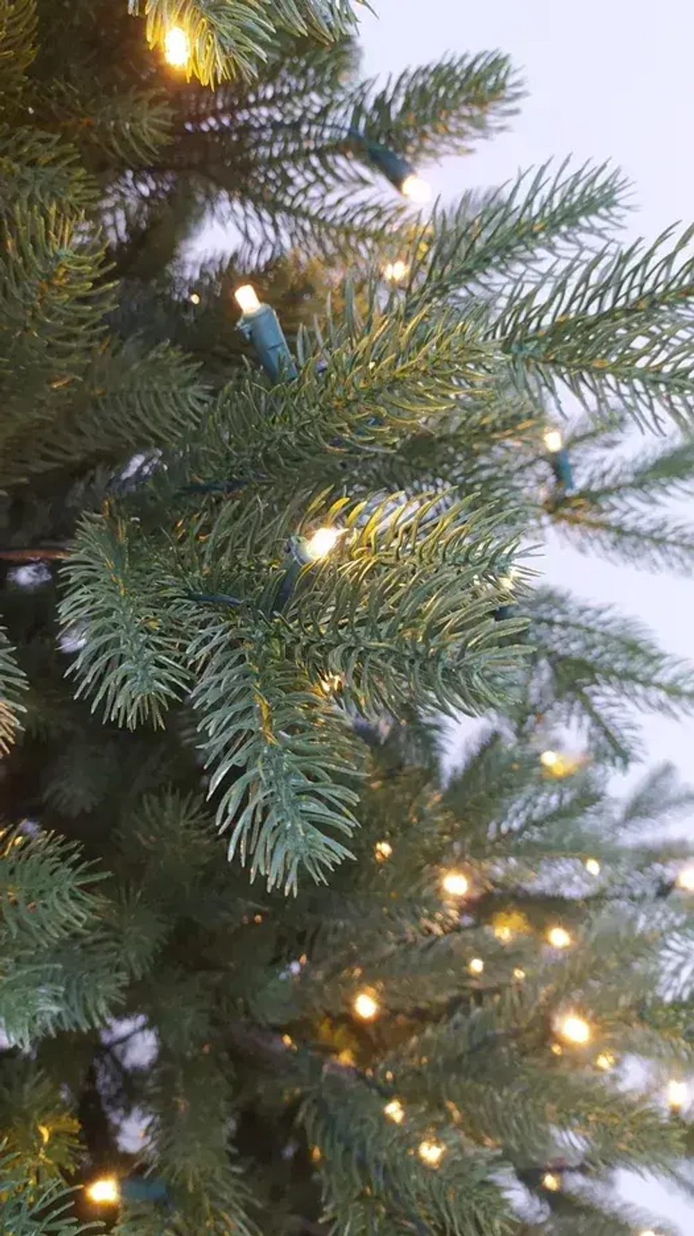 Искусственная елка Швейцарская 230 см., 340 теплых белых LED ламп, 100% литая хвоя, Black Box (74600)