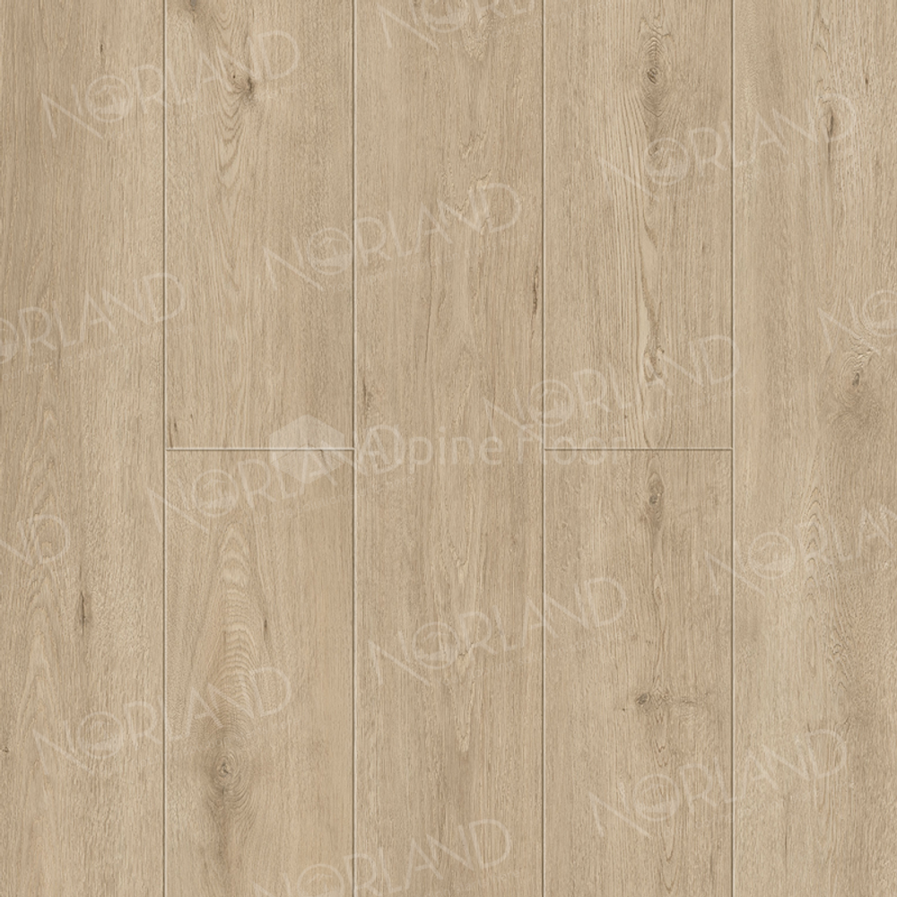 ABA ламинат Abbi 1008-1