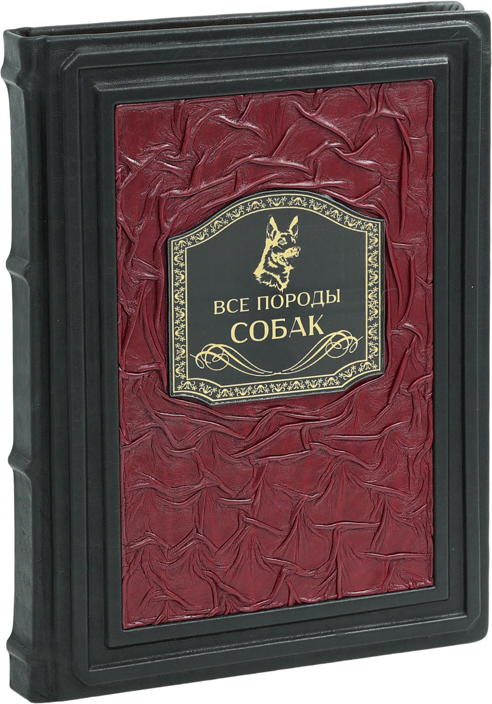 Все породы собак