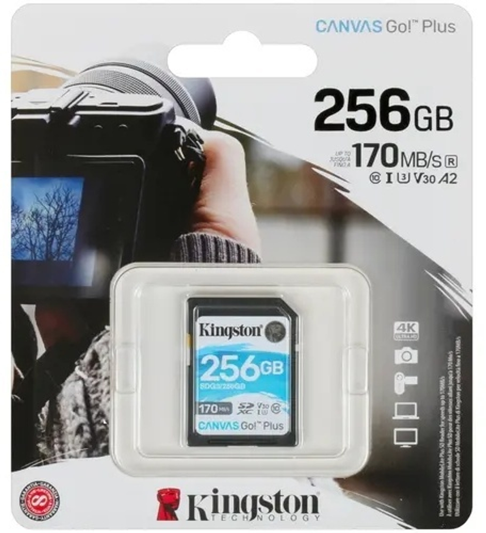 Карта памяти Kingston SDG3/256GB 256GB
