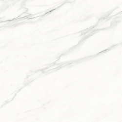 Calacatta Superb Керамогранит белый 60x60 полированный