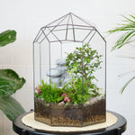 Готовый флорариум Ботанический сад с бонсай XL с водопадом