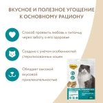 МНЯМС Лакомство "Профилактика МКБ" хрустящие подушечки для стерилизованных кошек с цыпленком и клюквой, 60 г