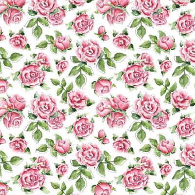 Розы акварельные с листьями на белом фоне @Daria.Kreskina