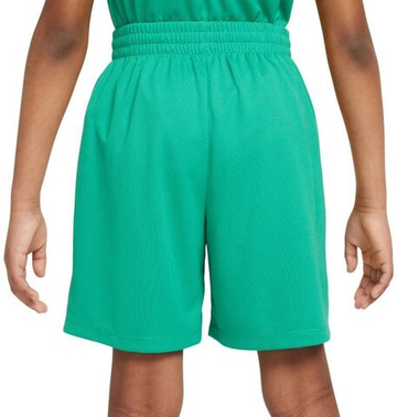 Шорты для мальчика теннисные Nike Boys Multi Dri-FIT - стадионный зеленый/белый/белый
