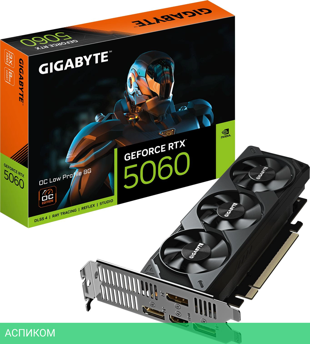 Видеокарта GigaByte GeForce RTX 5060 OC Low Profile 8G GDDR7 (GV-N5060OC-8GL)