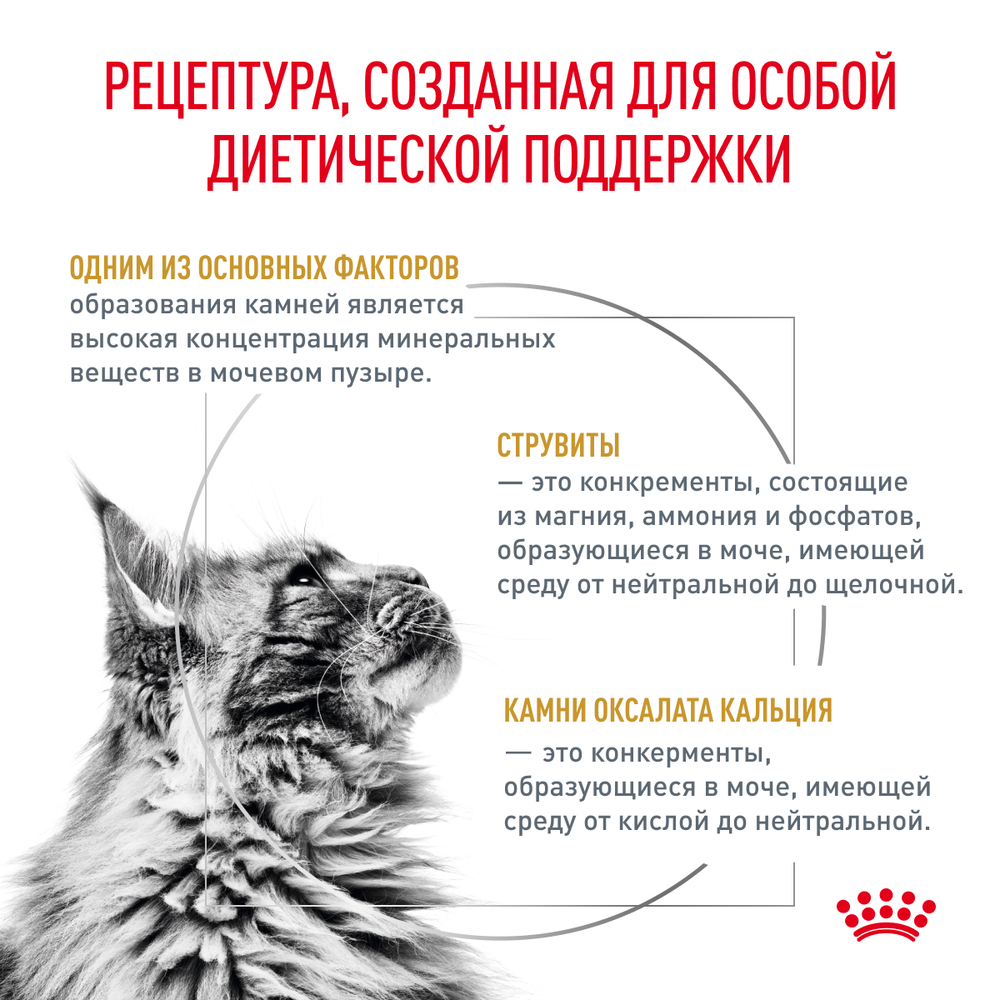 Сухой корм Royal Canin URINARY S/O (УРИНАРИ С/О) диетический для кошек при мочекаменной болезни - 0,35 кг