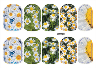 Термопленка ALLURE Арт.mtmp8 Набор 10 шт