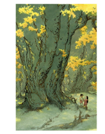 Книги Земноморья. Полное иллюстрированное издание (Рис. Ч. Весса)