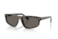Ray Ban 2225