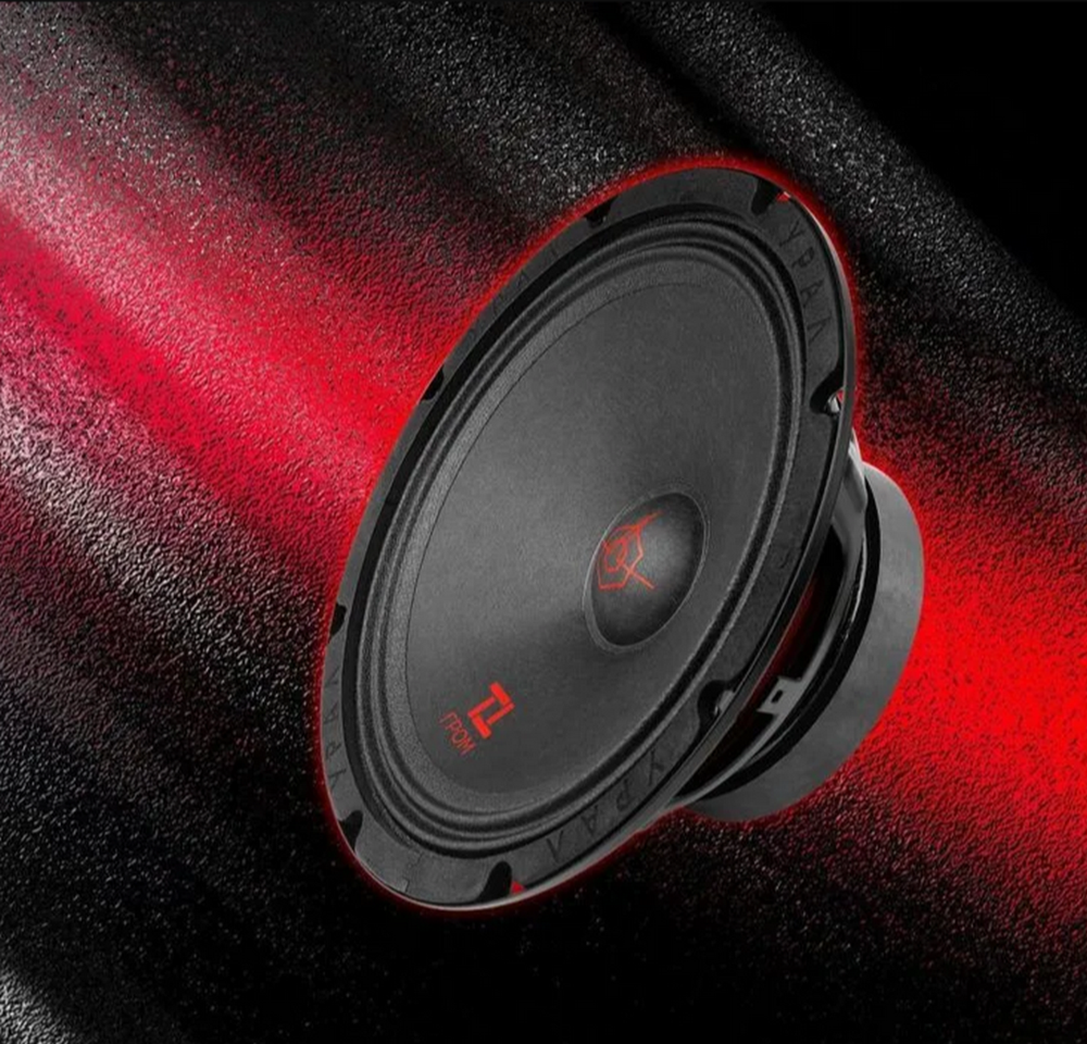 Автоколонки URAL TT 200 ГРОМ (8"/2шт)