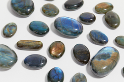 Лабрадор палмстоун S