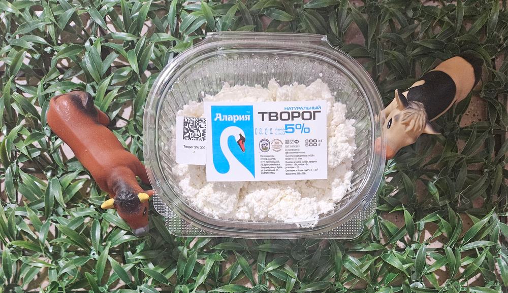Творог 5% 300г