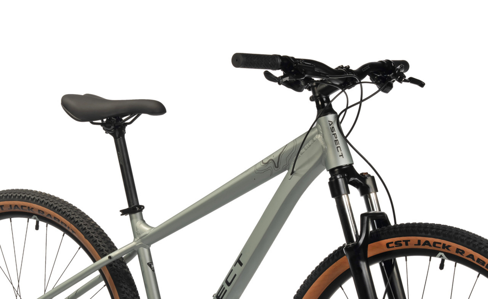 Горный велосипед Aspect Legend 29 (2024)