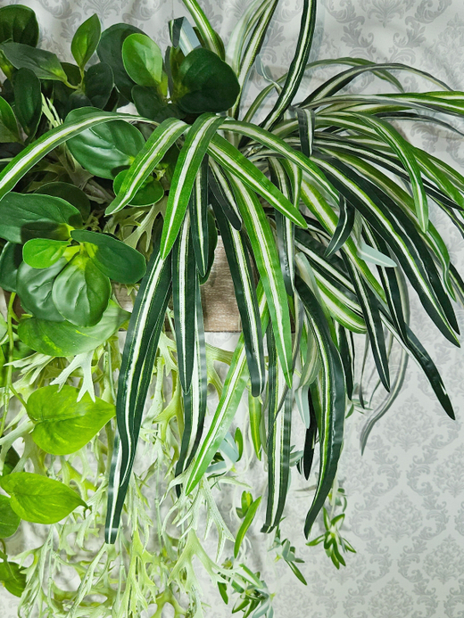 Искусственная зелень с хлорофитумом в деревянном настенном кашпо