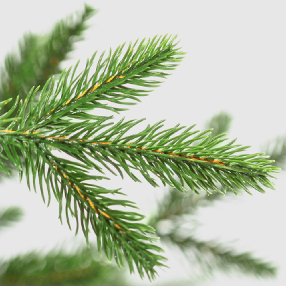 Ель искусственная EveXmas Линда 300 см