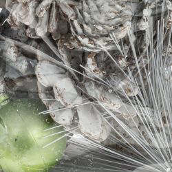 GAEM Изделие декоративное " Новогодняя композиция", L10 W10 H20 см