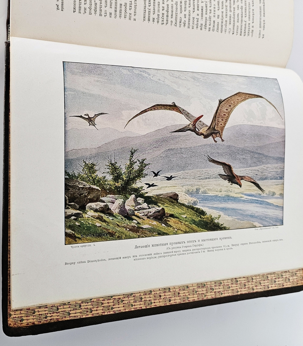 "Чудеса природы". 1914 г.