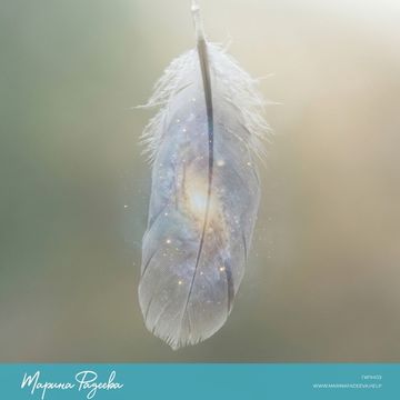 Лови момент