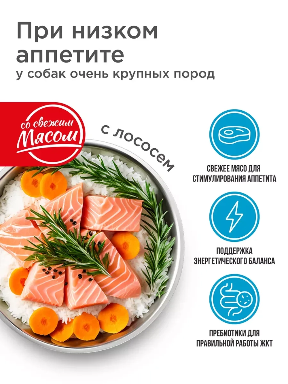 Корм для очень крупных собак, лосось, 2,5 кг, для аппетита