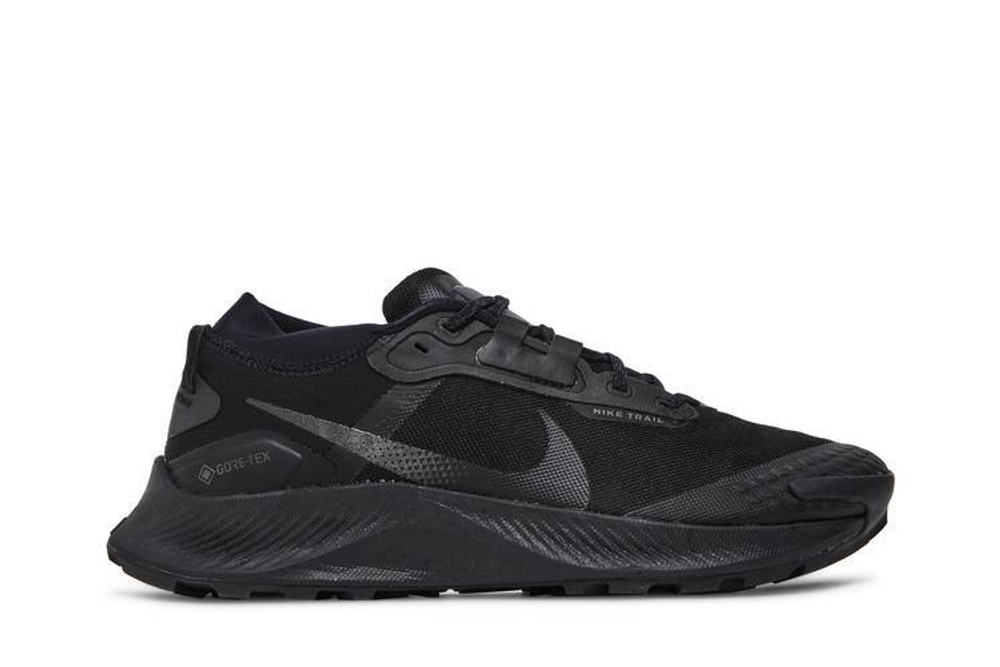 Кроссовки Nike Pegasus Trail 3 Gore-Tex "Black"