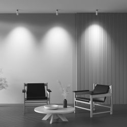 Спот светодиодный Maytoni   C053CL-L12W2.7K-W-W