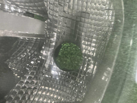 Битая Фара левая Mazda CX-5 2 (2017-2021) LED