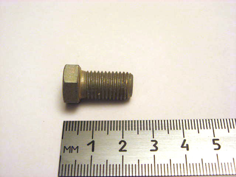 Болт10x 18x1,25 петли двери 2108  (ОАО «БелЗАН»)