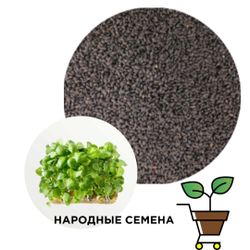 Базилик зелёный со вкусом лимона