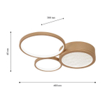 Потолочная светодиодная люстра F-Promo Campus 4681-3C