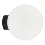 Светильник накладной MUNICH под лампу G9,  опаловое стекло,  черное основание,  D200xH220мм,  IP54