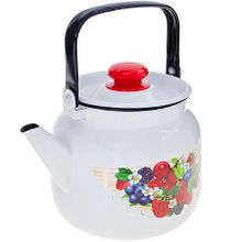 Чайник эмалированный КМЗ С-2713П2-4Рчягм  3,5 л