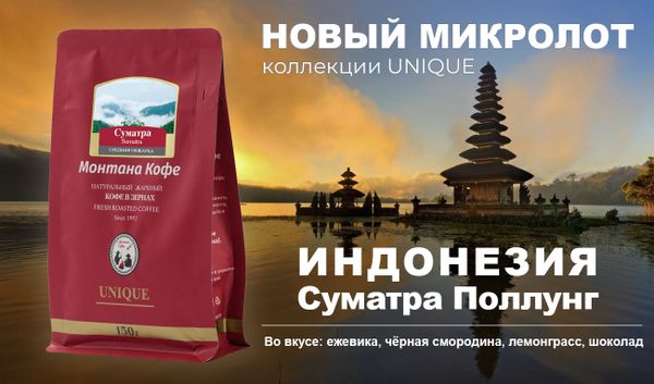 Индонезия Суматра Поллунг